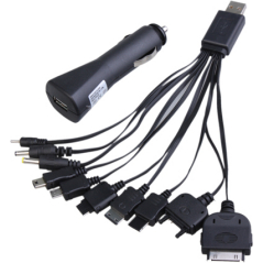 [51802] UNIVERSALUS ĮKROVIKLIS + USB 1A