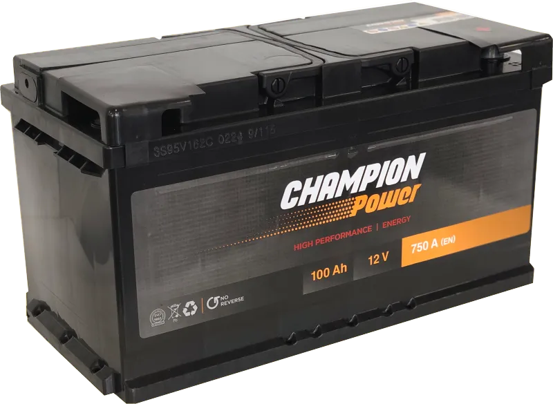 [ACP100R] AKUMULIATORIUS CHAMPION POWER 12V/100AH/750A EN