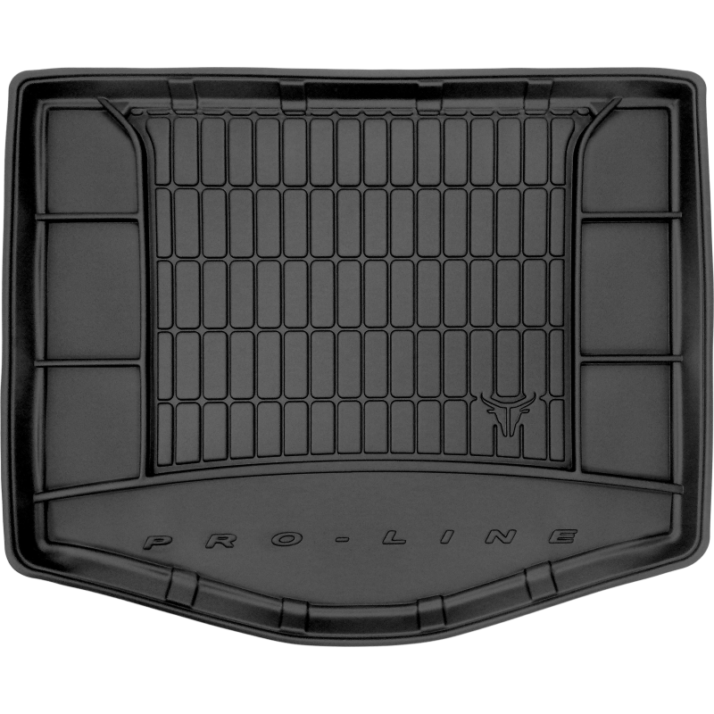 [09-TM406674] KILIMĖLIAI BAGAŽINEI FORD C-MAX I 2003-2010 BE PAPILDOMOS LENTYNOS